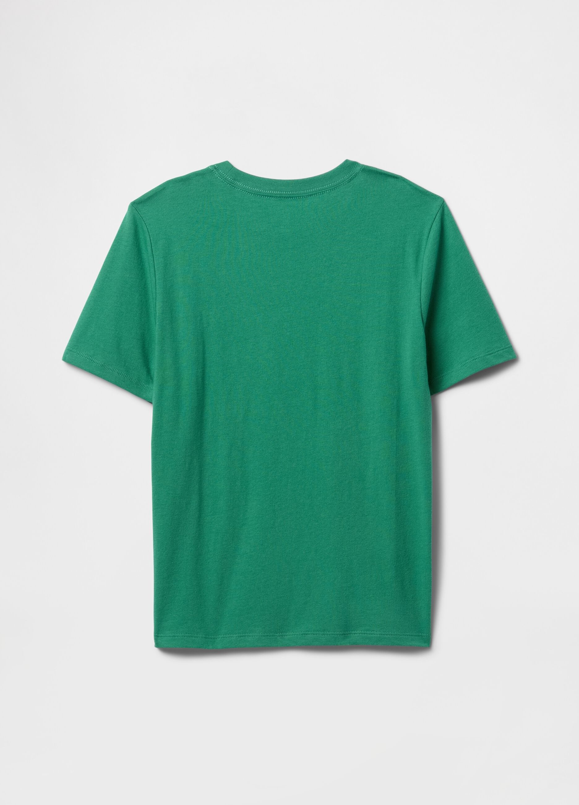 Green short sleeve cotton t-shirt for boys GAP Kids