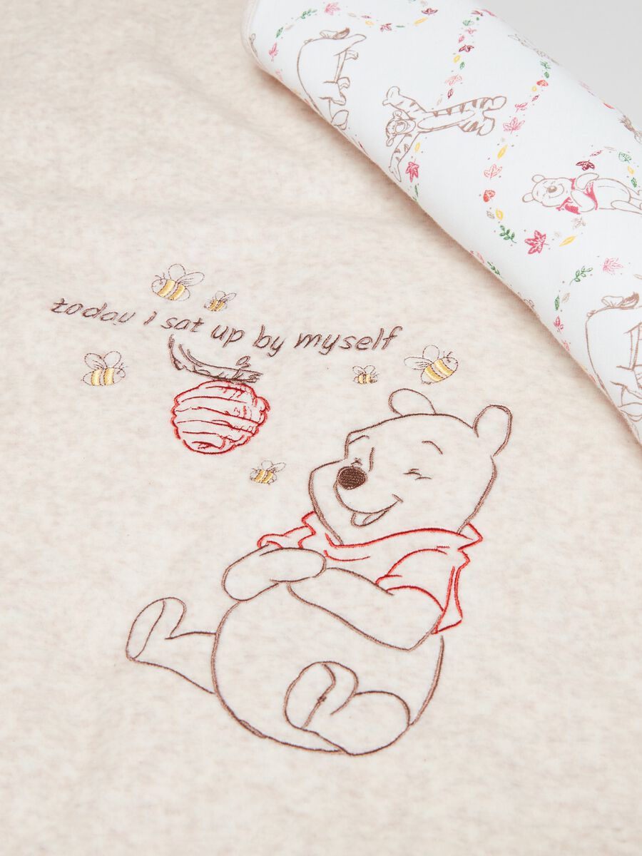 Coperta in velour con ricamo Winnie the Pooh_2
