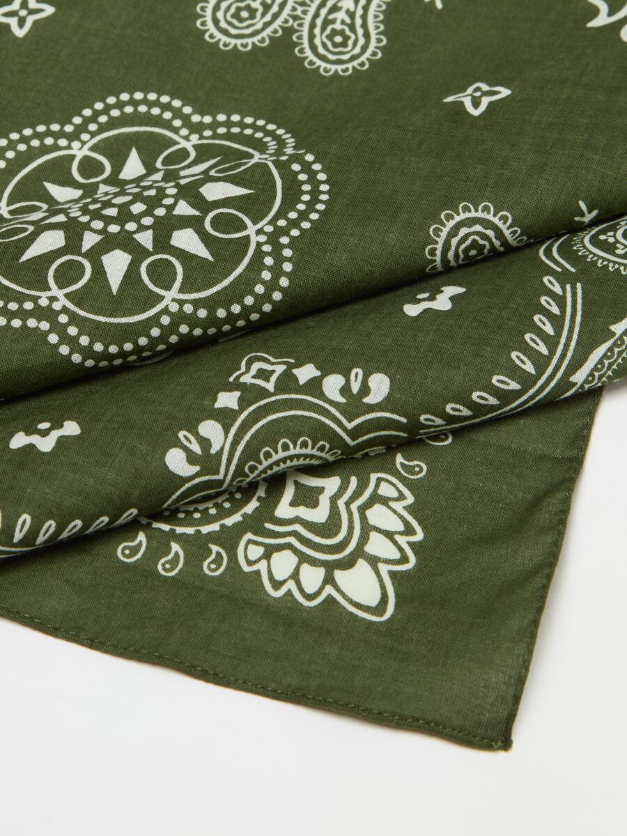 Cotton pashmina with bandana print_2