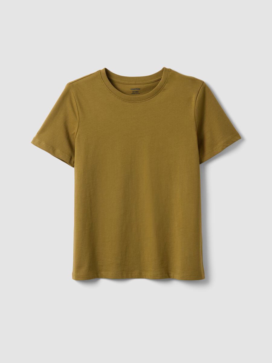 Green pure cotton short-sleeve T-shirt, regular fit_4
