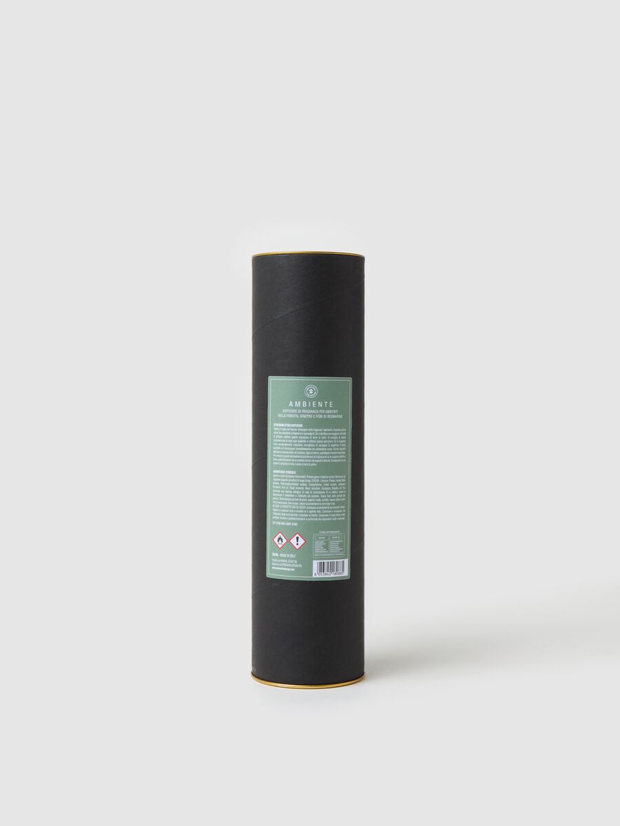 Home Fragrance Diffuser "In the Forest"_1