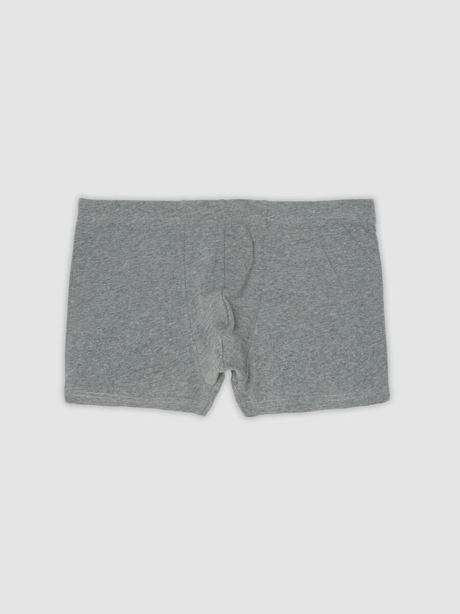 Boxer grigio in cotone organico_4