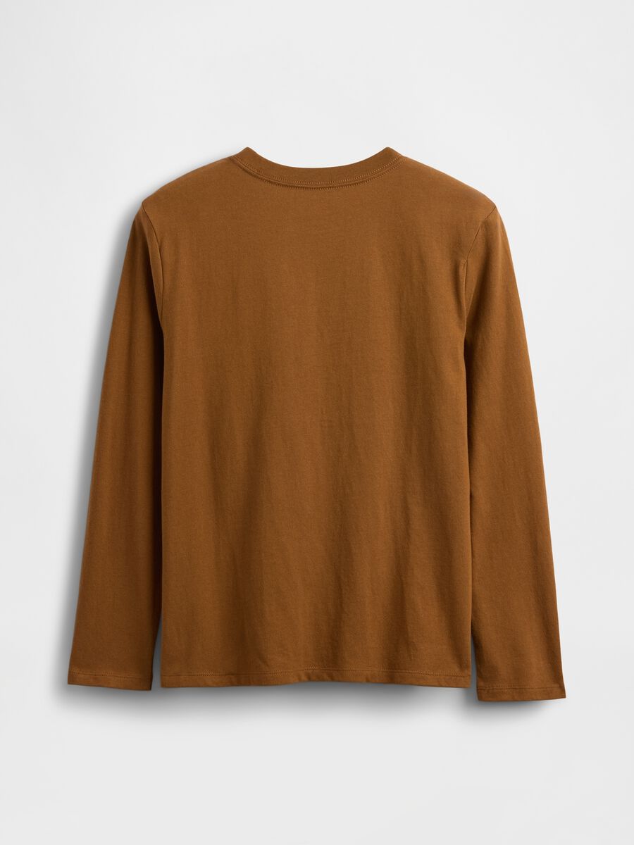 Brown long sleeve cotton t-shirt for boys_1