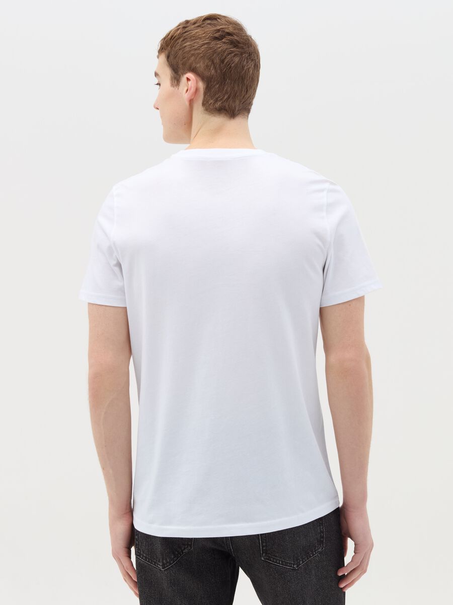Regular-fit T-shirt in cotton_3
