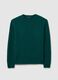 Green Pure Wool Regular Fit Jumper_4