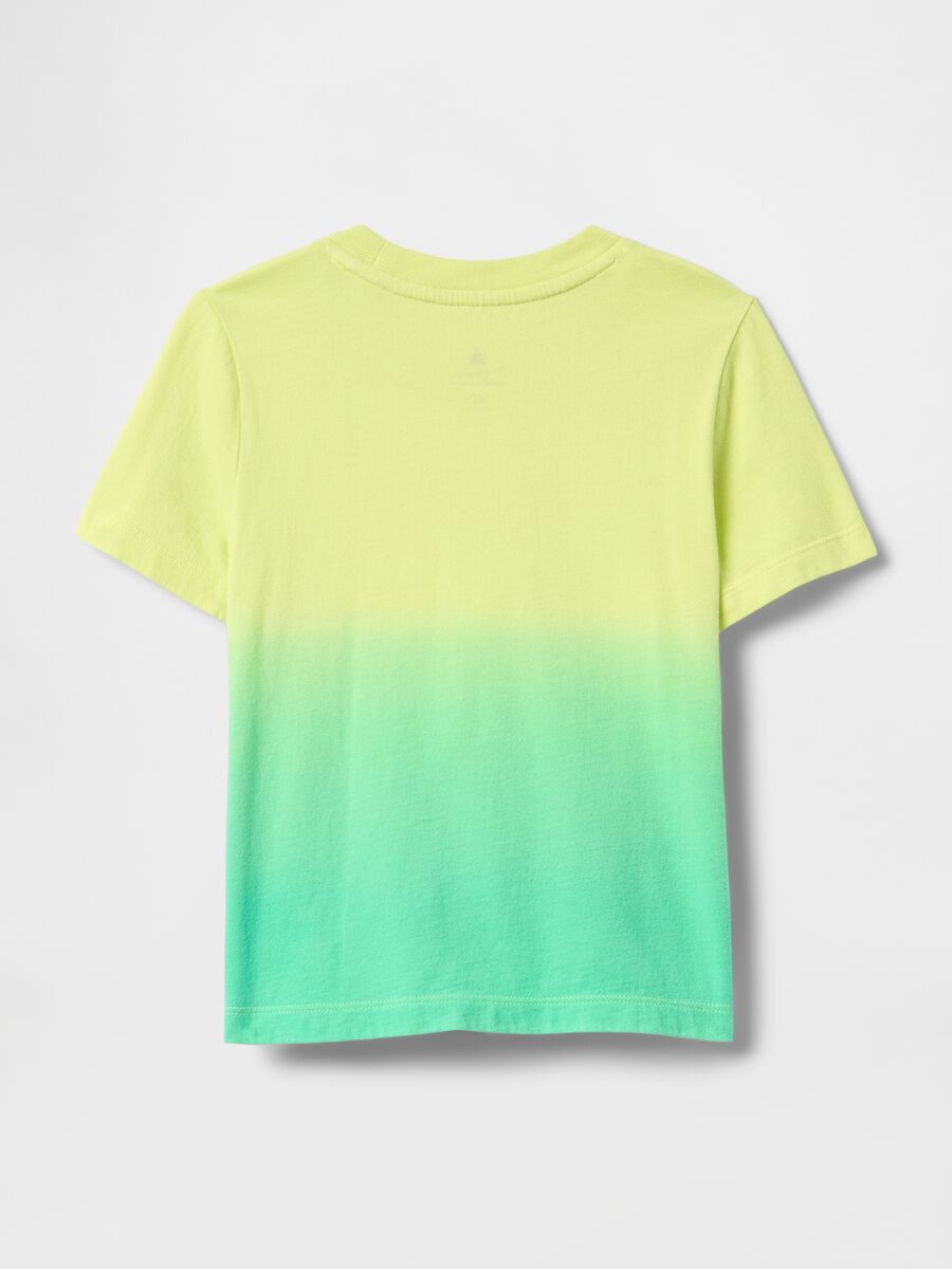 Lime Green Faded Crew Neck T-shirt_1