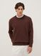 Brown pure cotton crew neck jumper regular fit_1