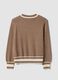 Brown viscose-blend jumper with striped trims, regular fit_1