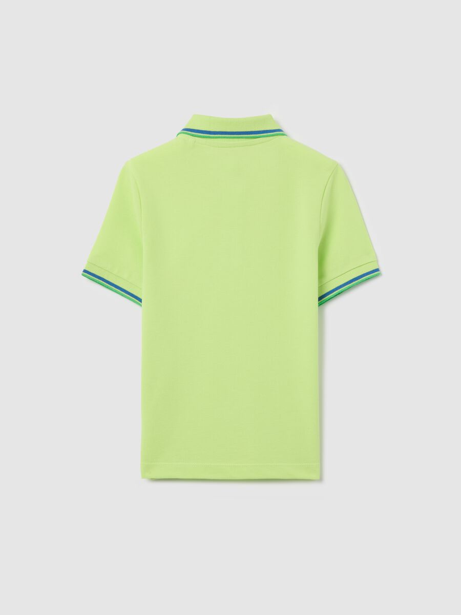 Cotton polo shirt with striped trims_1