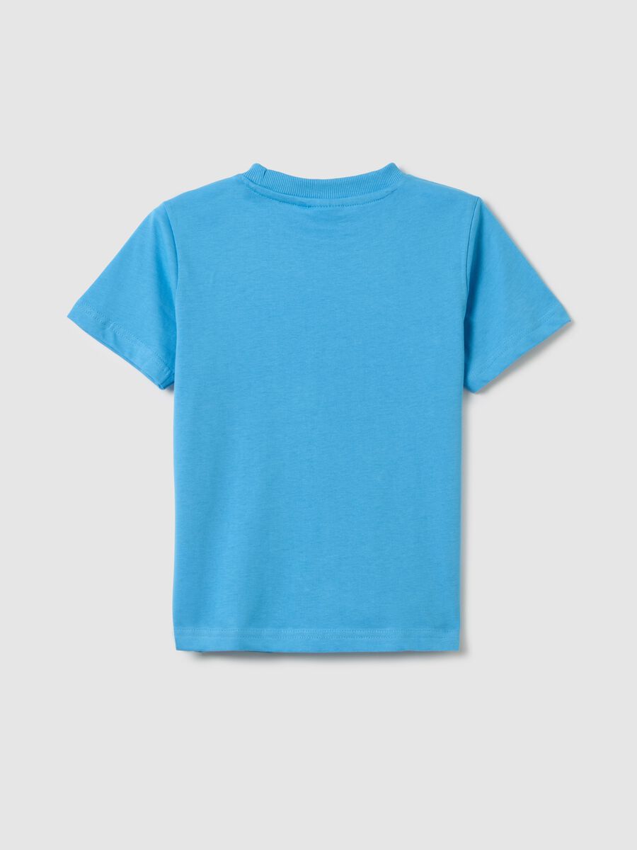 Regular fit children's azure cotton t-shirt with print_1