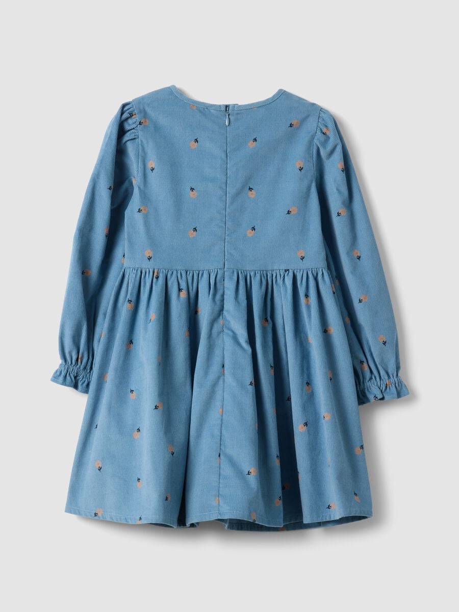 Blue pure cotton ribbed dress with floral print_1