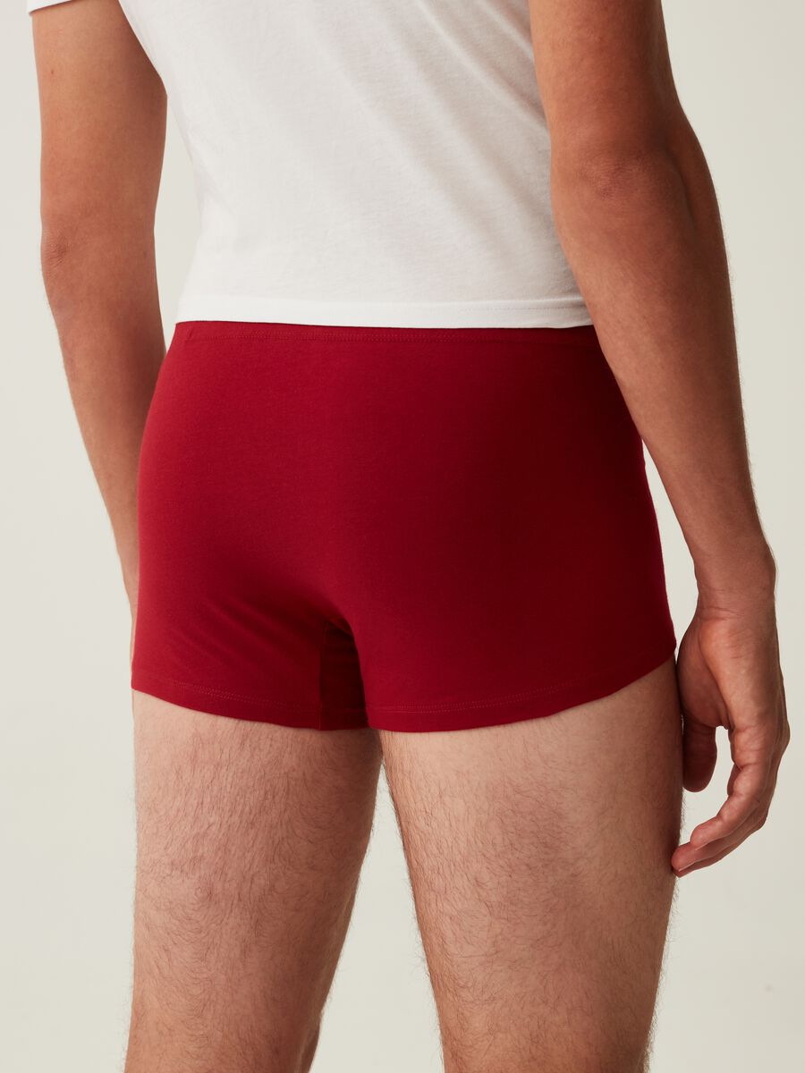 Boxer in cotone con stampa natalizia_3