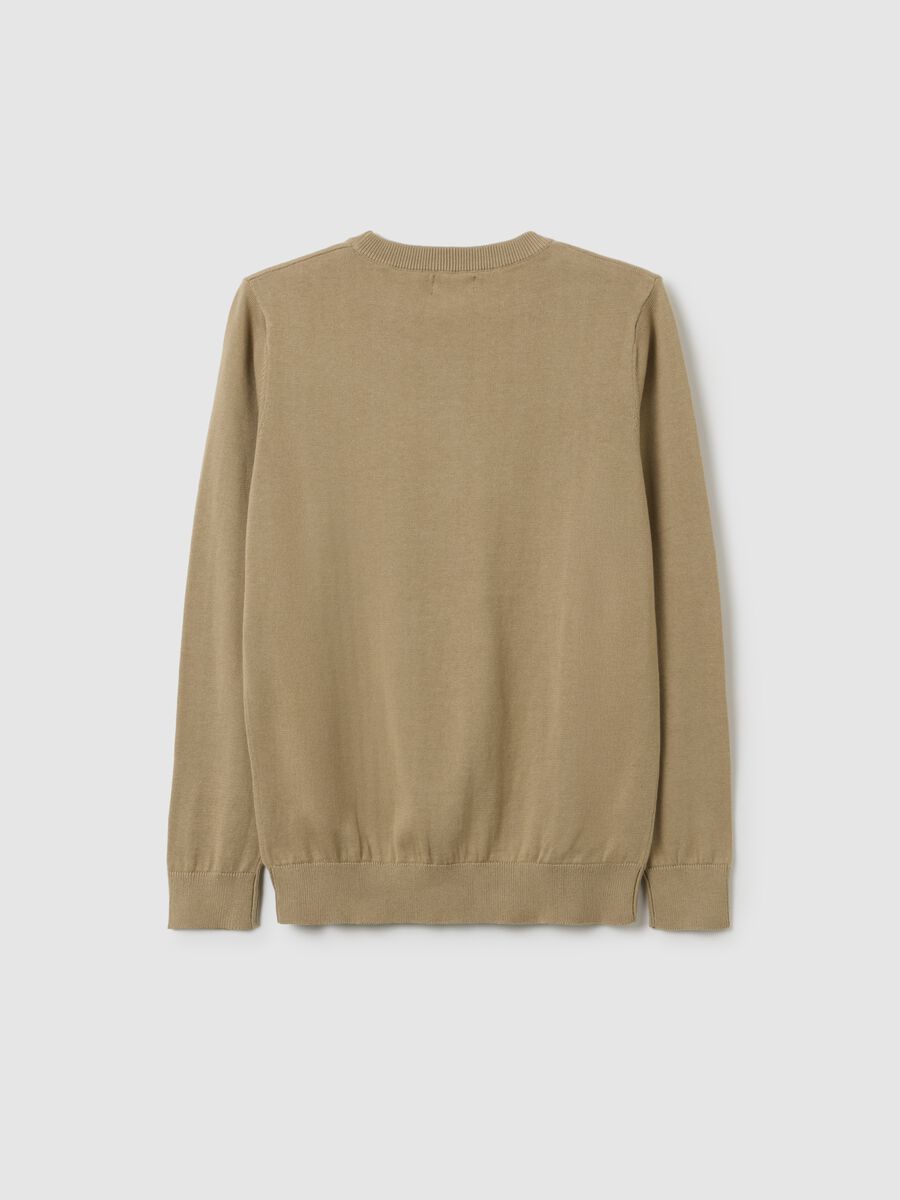 Boys' Pure Cotton Beige Sweater - Regular Fit_1