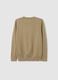 Boys' Pure Cotton Beige Sweater - Regular Fit_1