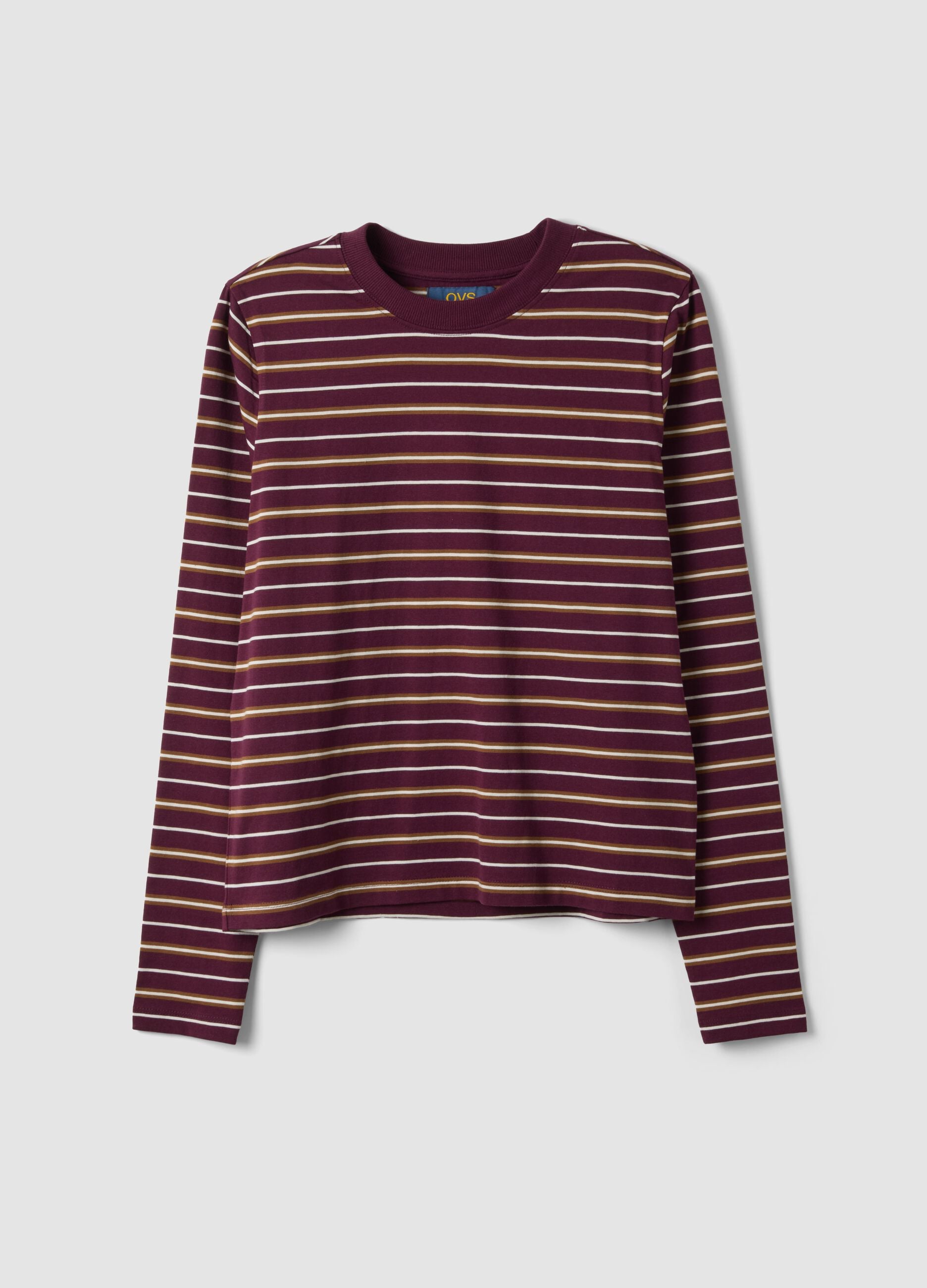 T-shirt multicolor in puro cotone a righe con girocollo regular fit