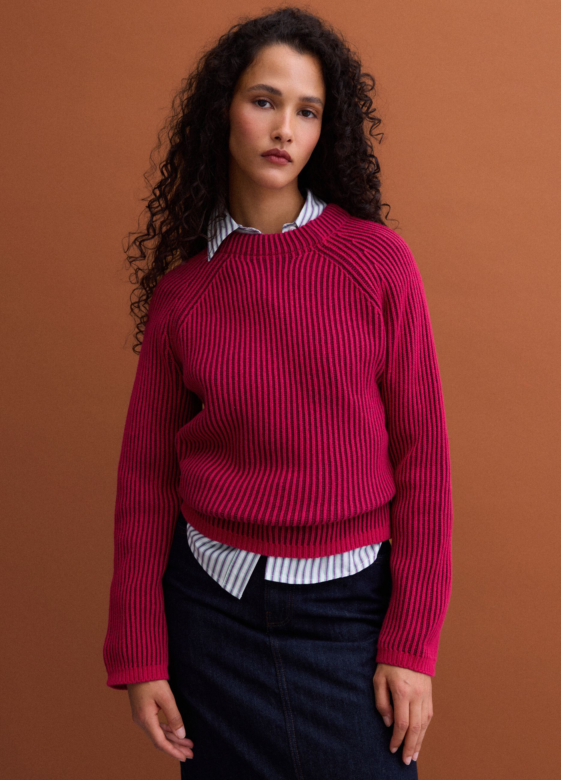 Multicolour pure cotton ribbed crew-neck jumper, regular fit