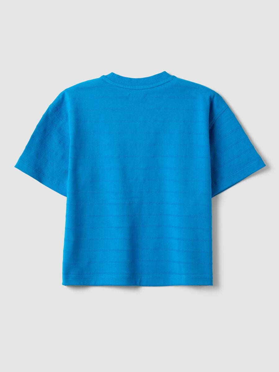 Children's regular fit blue pure cotton t-shirt_4