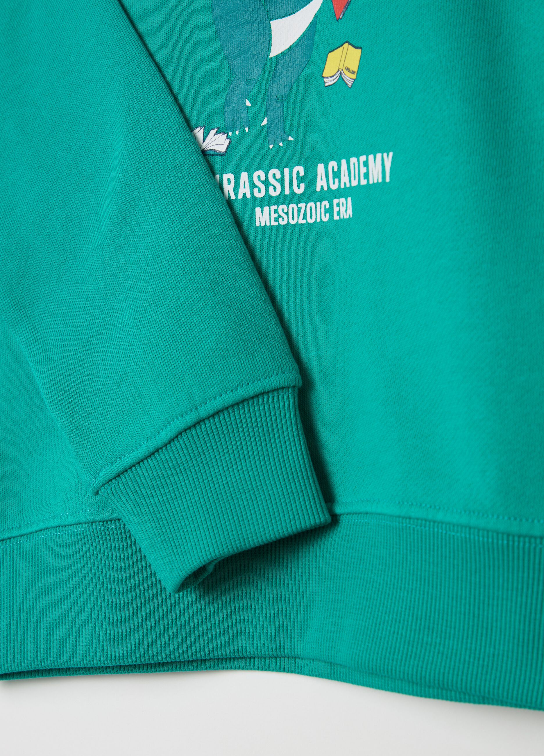 Fleece jogging set with "Jurassic Academy" print