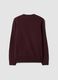 Burgundy crew-neck jersey knit jumper, regular fit_2