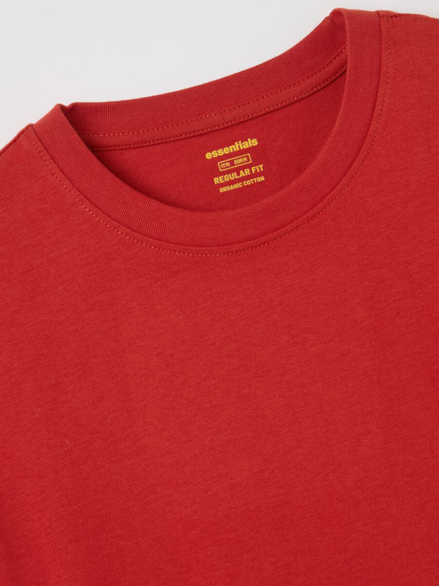 Organic cotton T-shirt_5