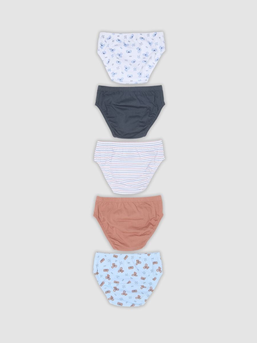 Pack of five multicolour boys&rsquo; briefs in pure organic cotton_1