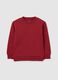 Red regular fit pure cotton children's sweatshirt_0
