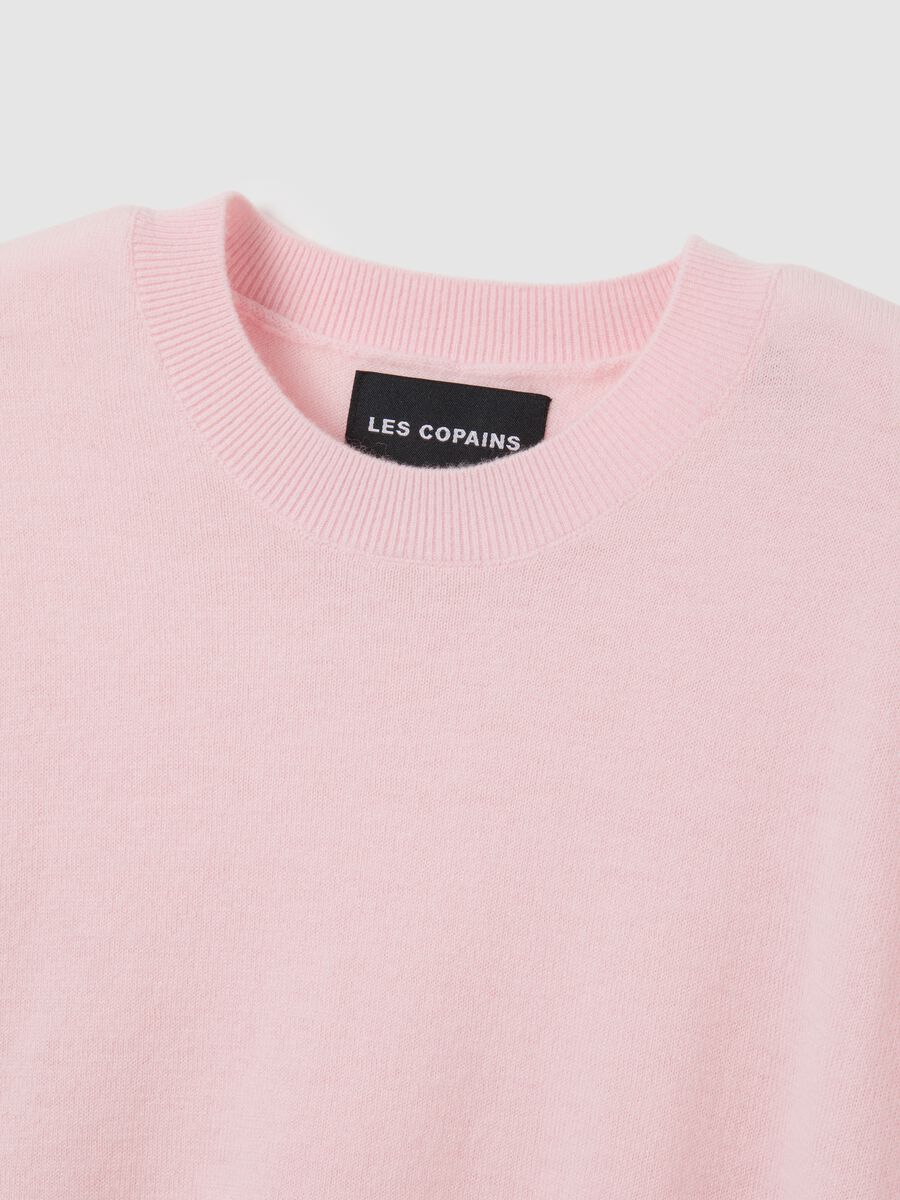 Pink pure wool crew neck jumper, regular fit_5