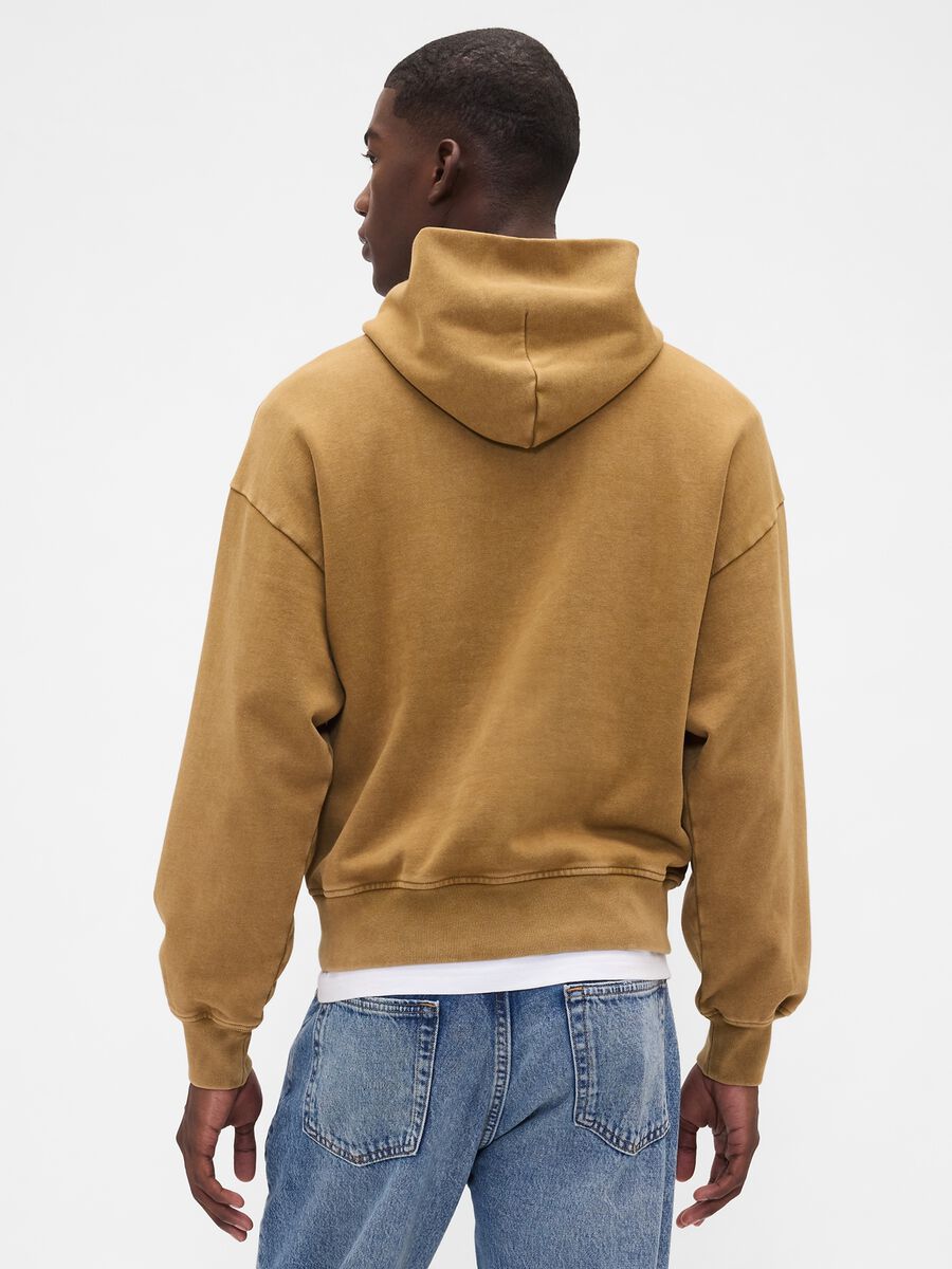Brown Hoodie_1
