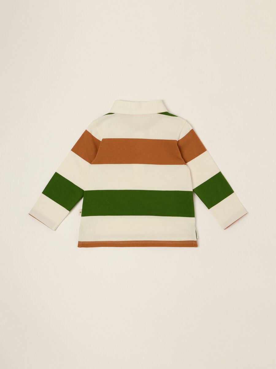 Multicolour striped pure cotton baby polo shirt, regular fit_2