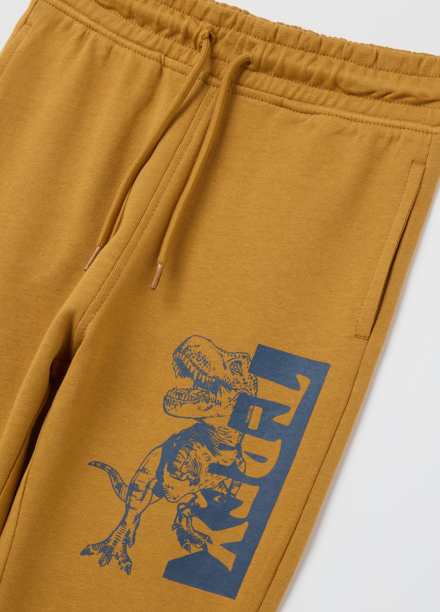 Cotton joggers with drawstring and print