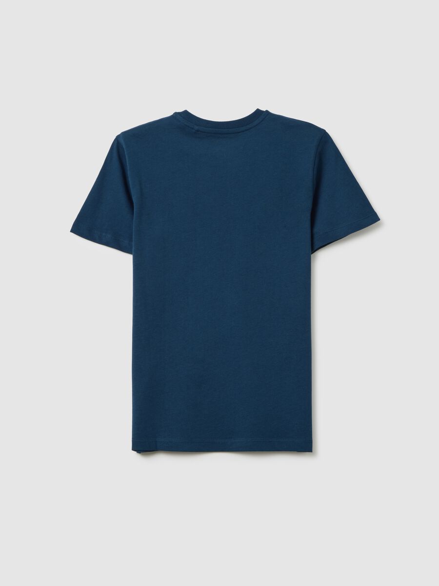 Boys' blue pure cotton regular fit T-shirt with print_4
