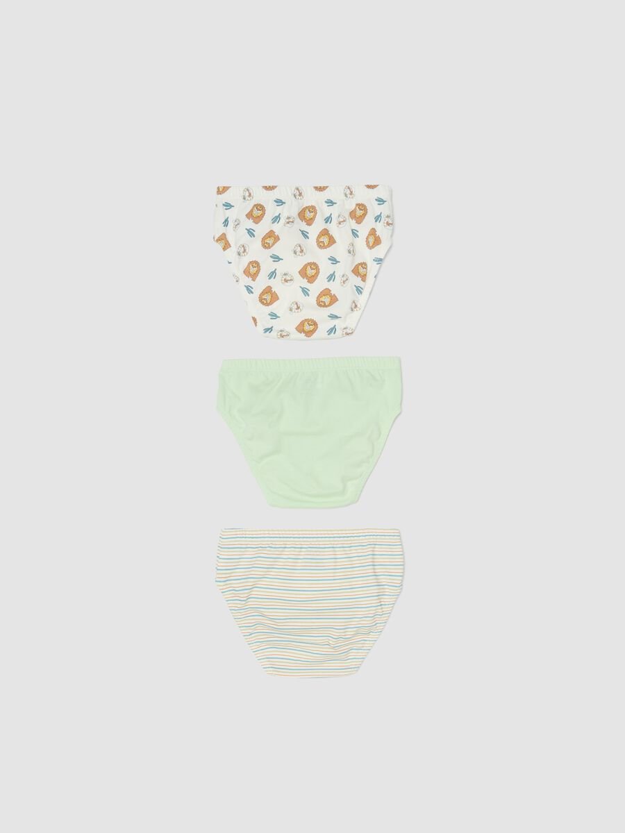3-pack of multicoloured organic cotton briefs_1