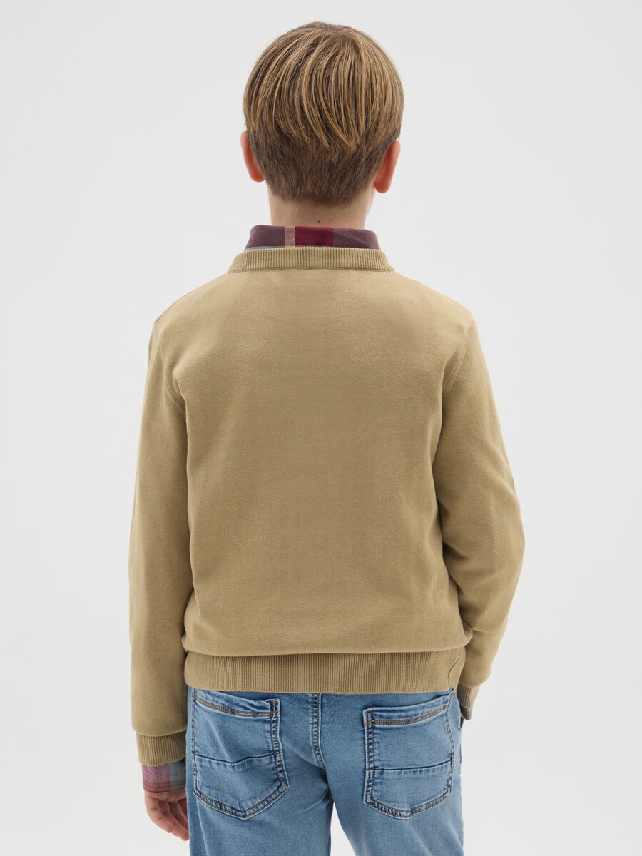 Boys' Pure Cotton Beige Sweater - Regular Fit_1