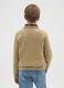 Boys' Pure Cotton Beige Sweater - Regular Fit_1