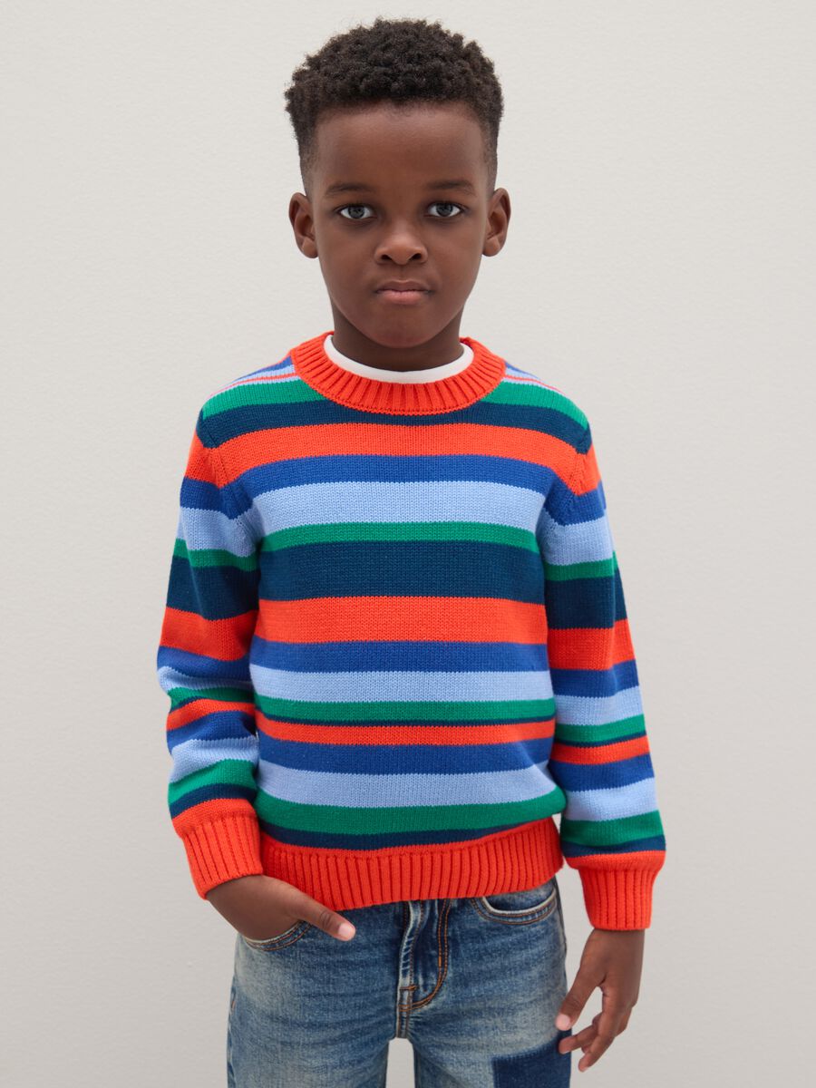 Boys' Pure Cotton Multicolour Regular Fit Jumper_0