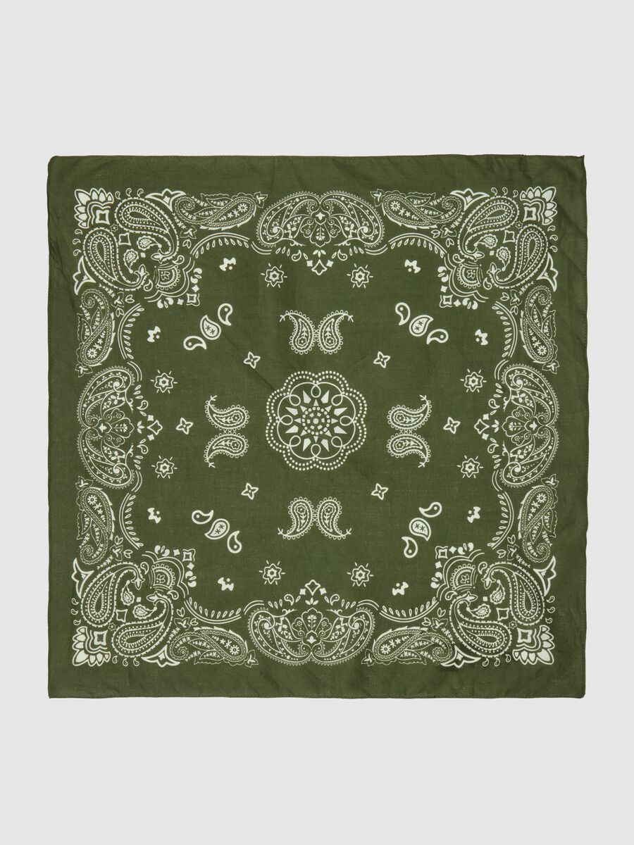 Cotton pashmina with bandana print_1