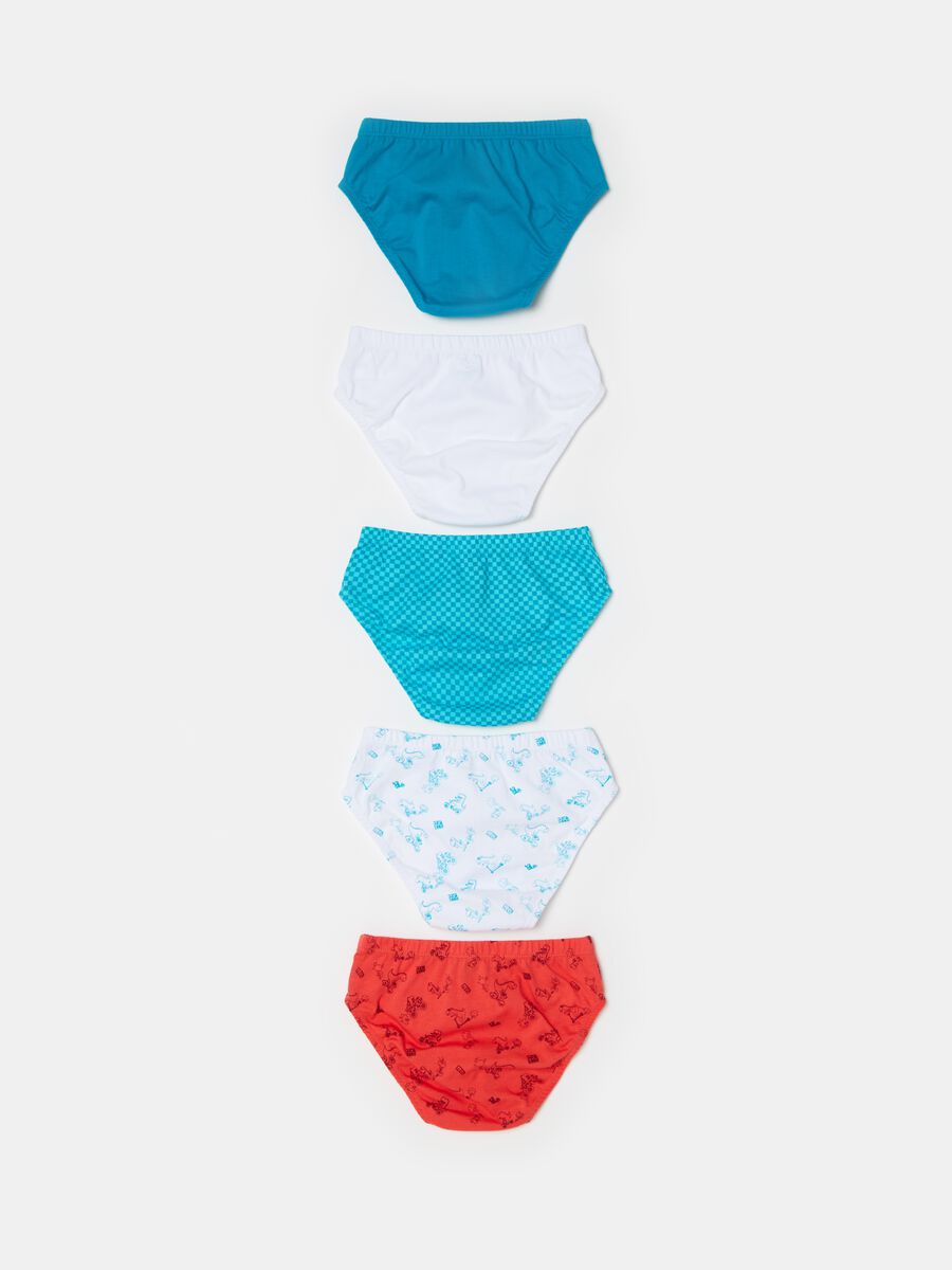 Five-pack briefs in organic cotton with print_1