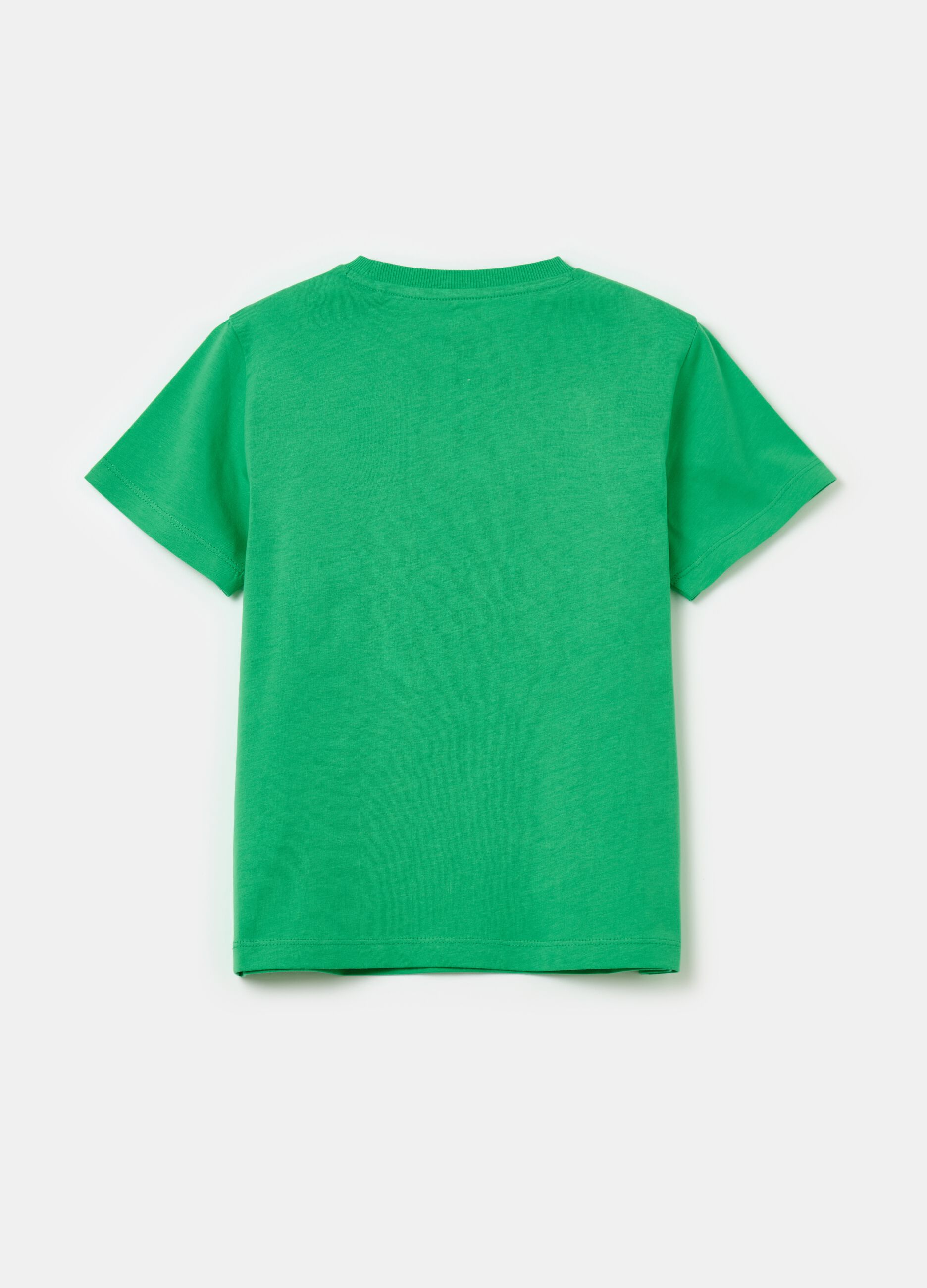 Organic cotton T-shirt with print