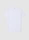 White regular fit crew neck T-shirt in pure cotton_4