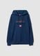 Blue cotton-blend hoodie_0