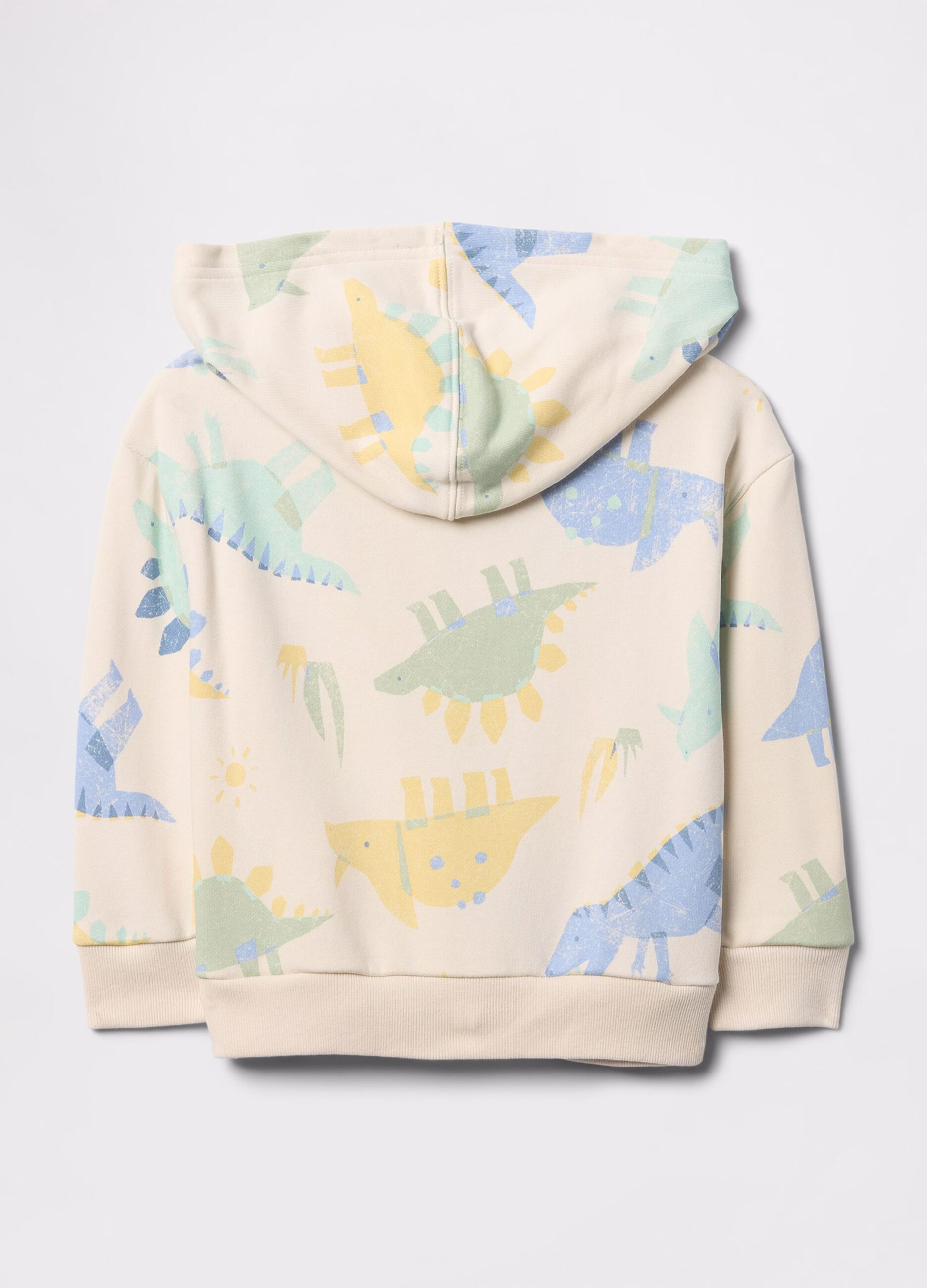 Sweatshirt with hood and dinosaurs print
