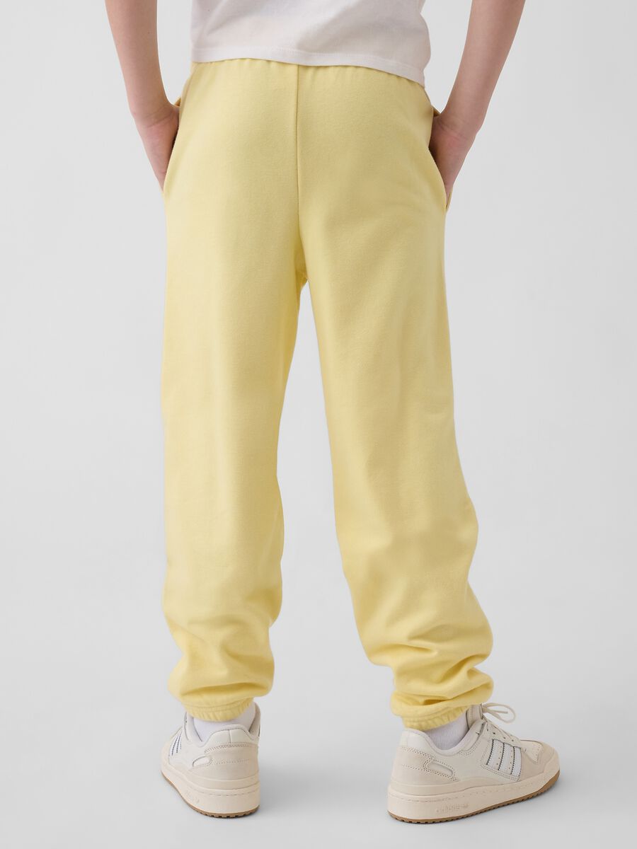Boys' Regular Fit Yellow Cotton Blend Jogger Trousers_2