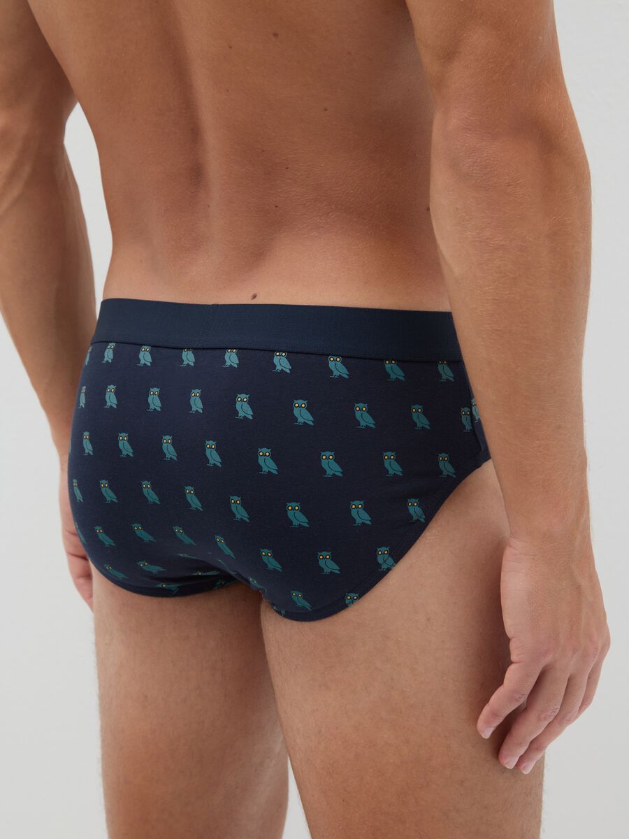 Multicolour Stretch Cotton Tripack Briefs_2