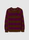 Multicolour Cotton Blend Striped Sweater - Regular Fit_4