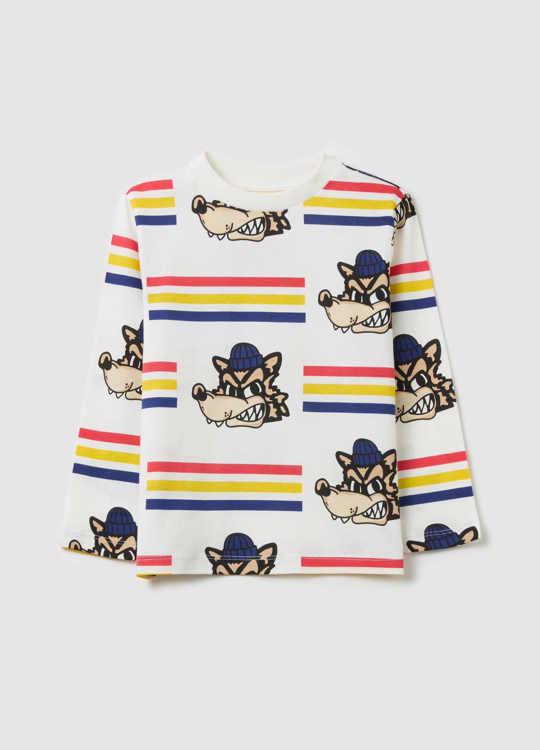 Long-sleeved T-shirt in cotton with print