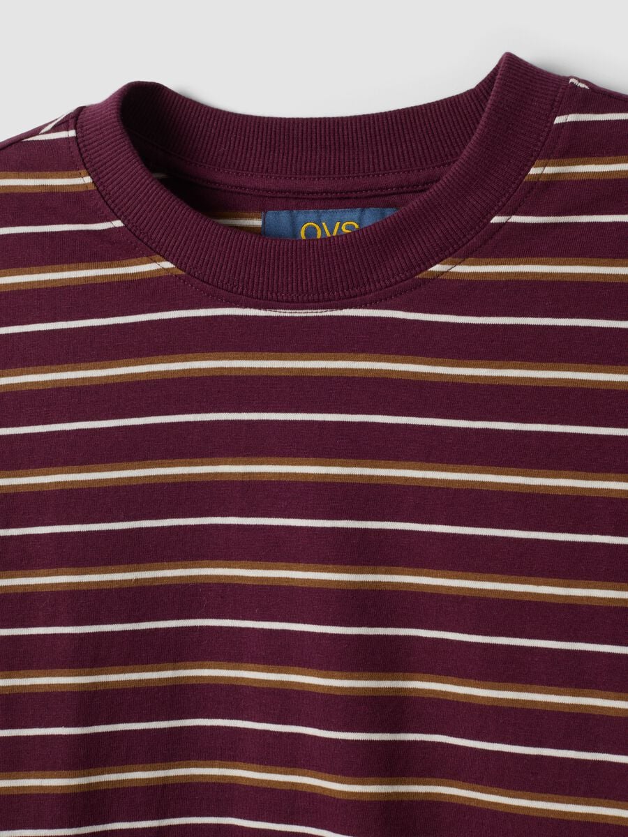 T-shirt multicolor in puro cotone a righe con girocollo regular fit_5
