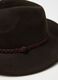 Brown Fedora Hat_2
