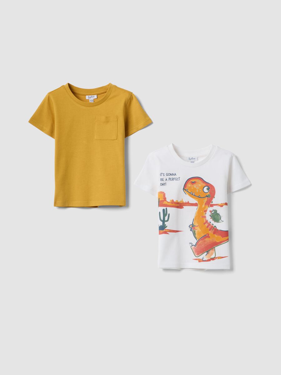 2-pack boys&rsquo; pure cotton multicolour regular-fit T-shirts_0