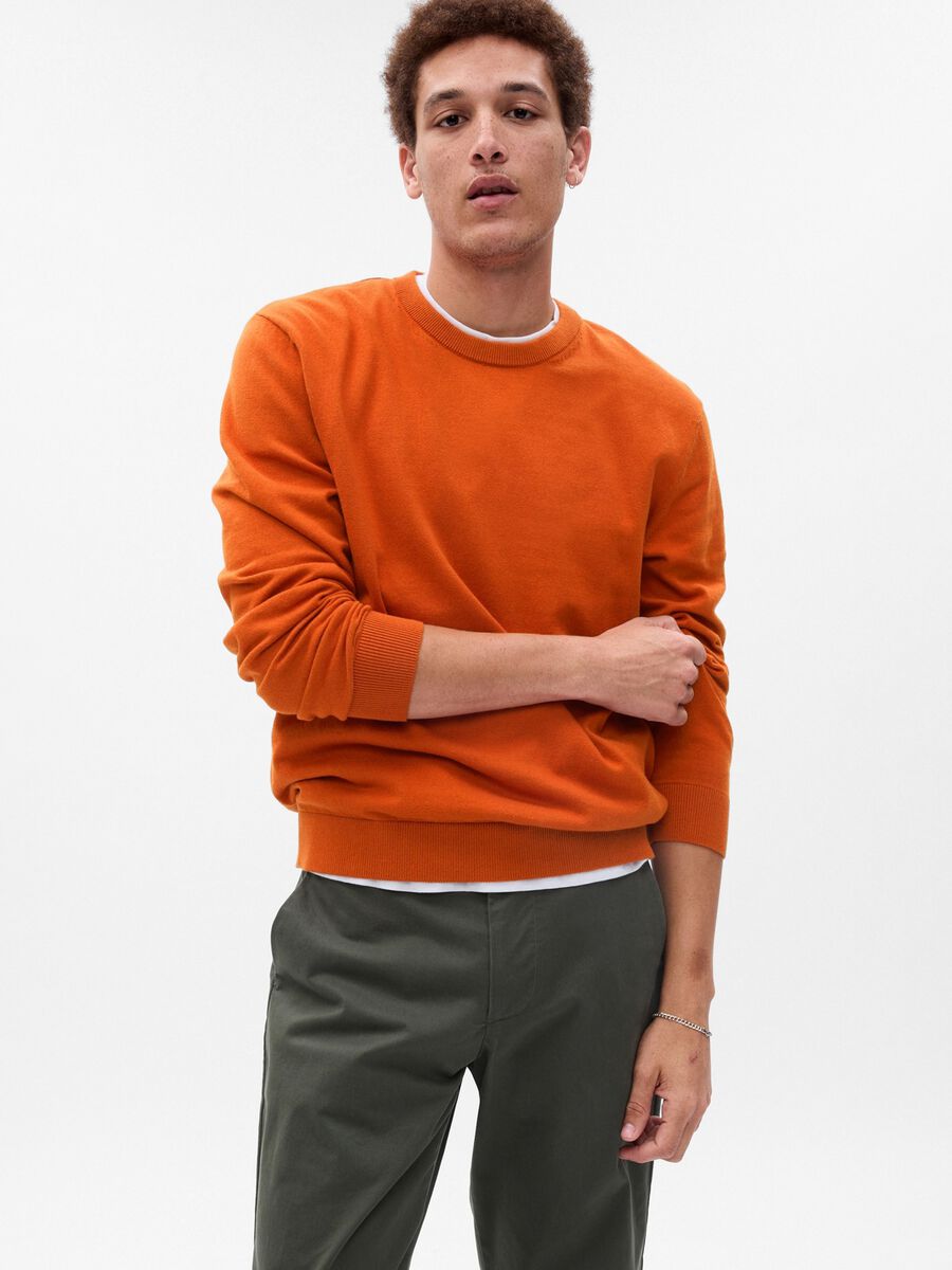Pullover girocollo in cotone_0