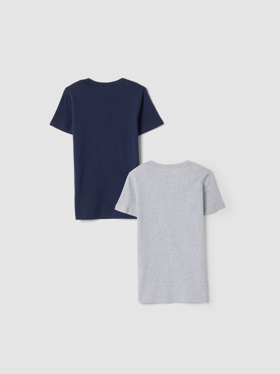 2-pack blue and grey organic cotton crew-neck T-shirts_1